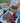 Mixed Berry Homemade Organic Dog Treats