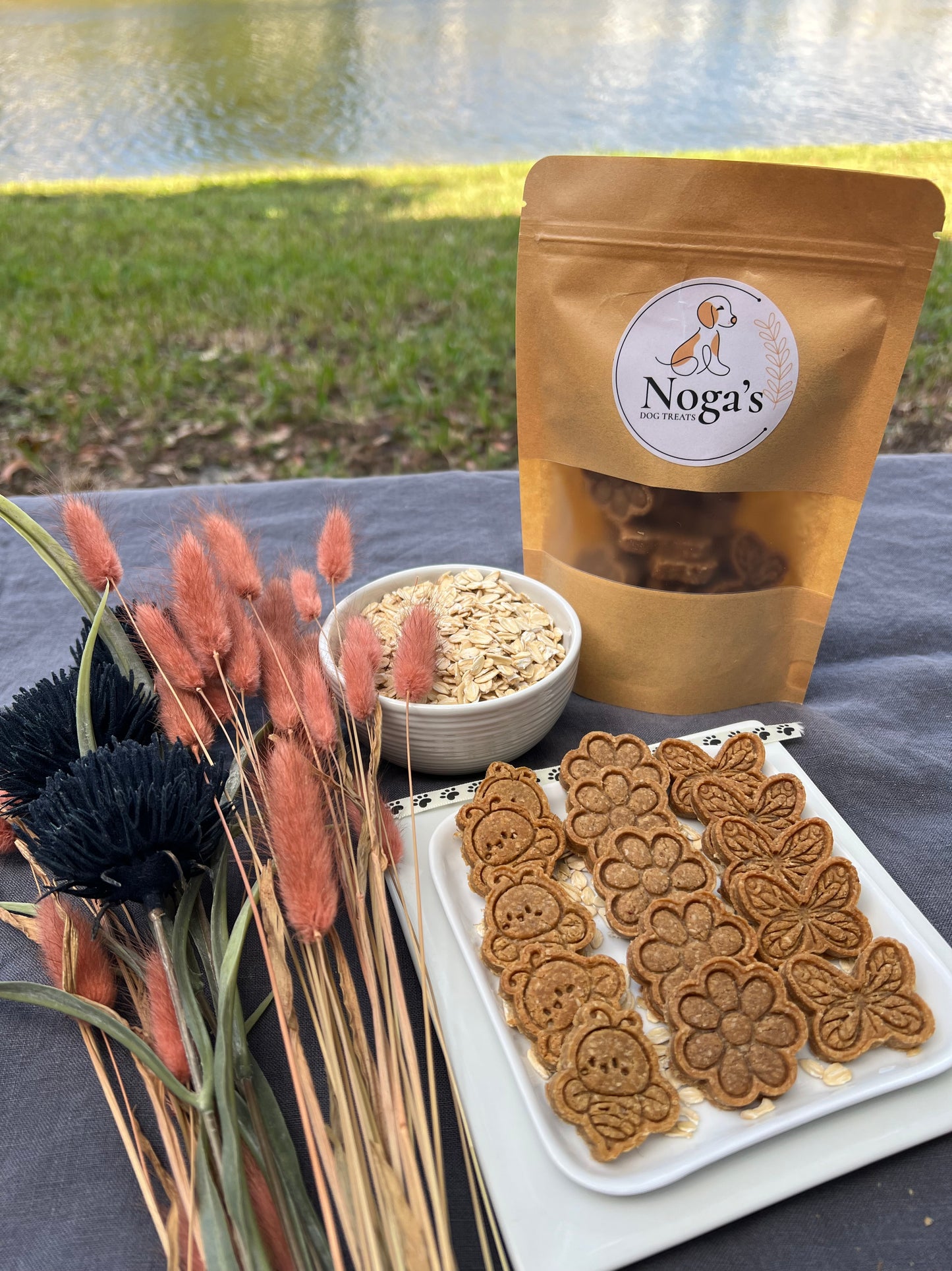 Springtime Snacks Organic Homemade Dog Treats