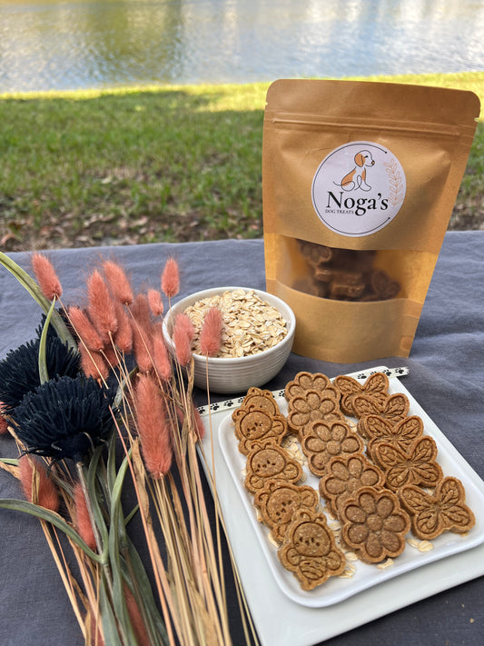 Springtime Snacks Organic Homemade Dog Treats