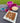Tropical Twist Organic Homemade Dog Treat